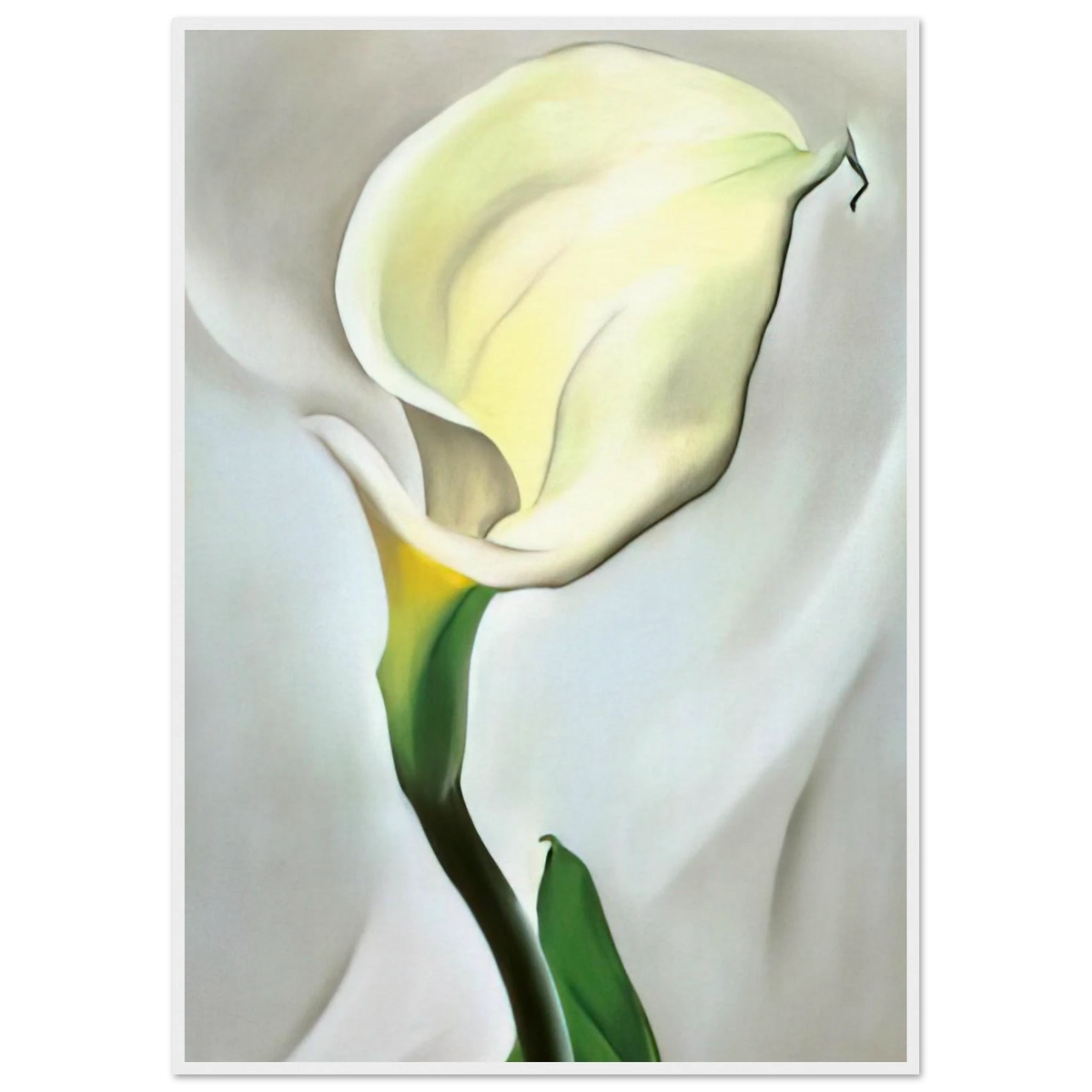Calla Lily Turned Away Framed Poster | Georgia O'Keeffe Framed Prints Wall Art | Georgia O Keeffe Prints