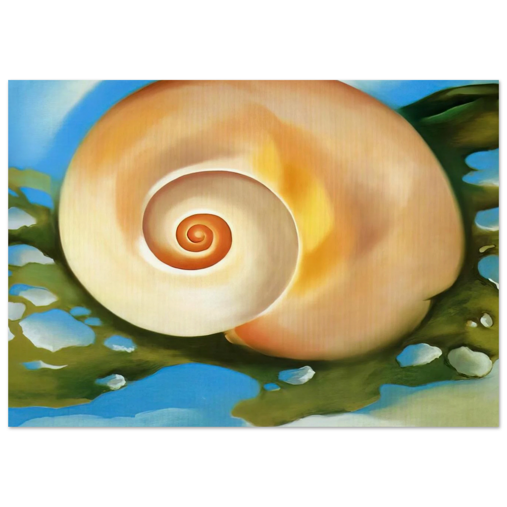 Pink Shell with Seaweed Poster | Georgia O'Keeffe Poster | Georgia O Keeffe Prints