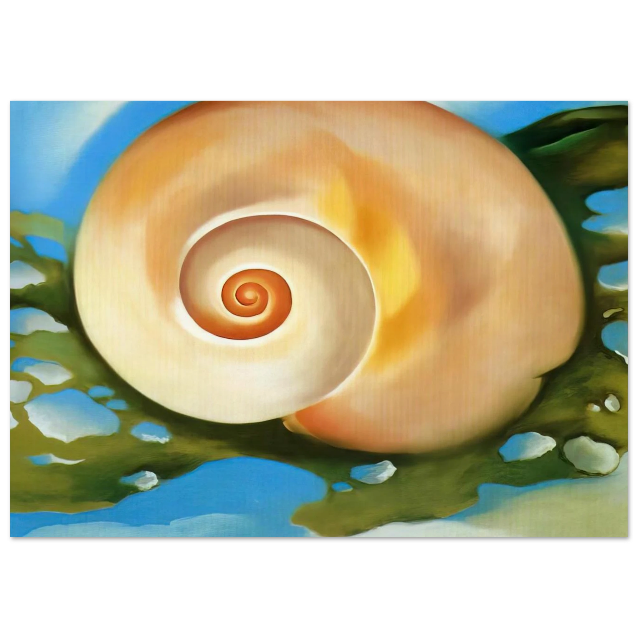 Pink Shell with Seaweed Poster | Georgia O'Keeffe Poster | Georgia O Keeffe Prints