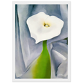 Calla Lily on Grey Framed Poster | Georgia O'Keeffe Framed Prints Wall Art | Georgia O Keeffe Prints