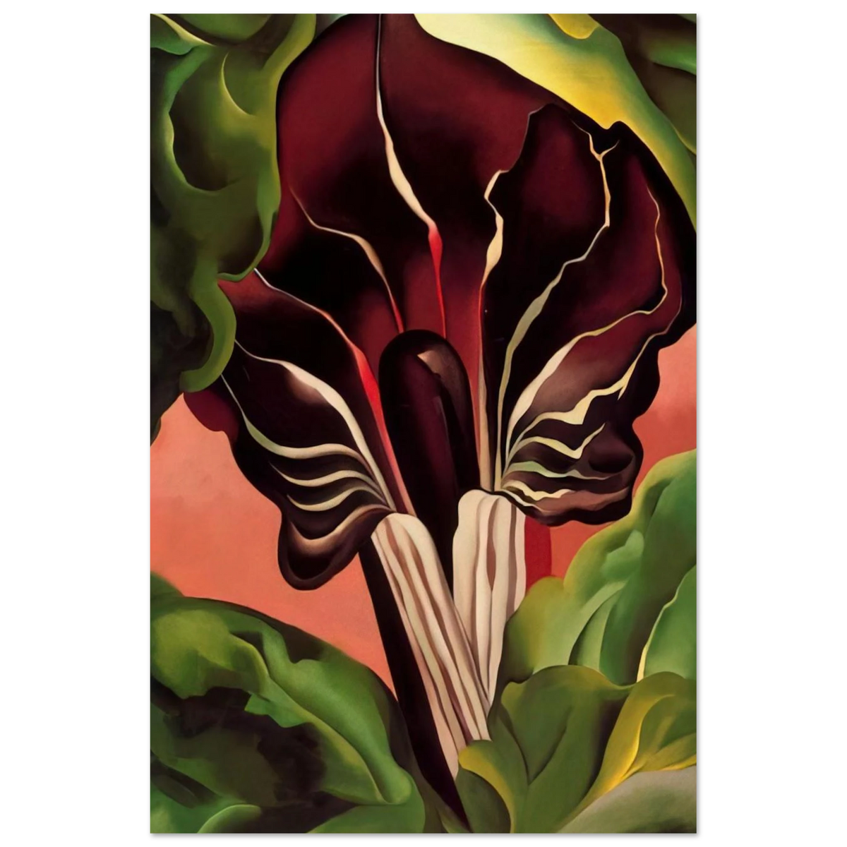 Jack-in-the-Pulpit II Poster | Georgia O'Keeffe Poster | Georgia O Keeffe Prints