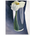 Calla Lily in Tall Glass Poster | Georgia O'Keeffe Poster | Georgia O Keeffe Prints