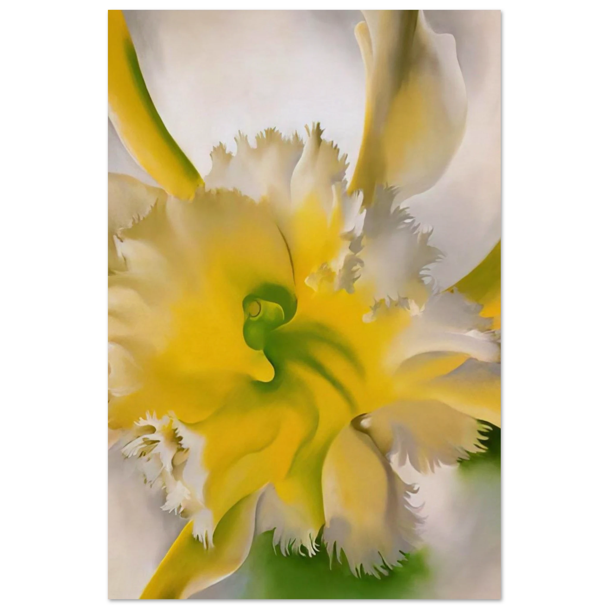 An Orchid Poster | Georgia O'Keeffe Poster | Georgia O Keeffe Prints