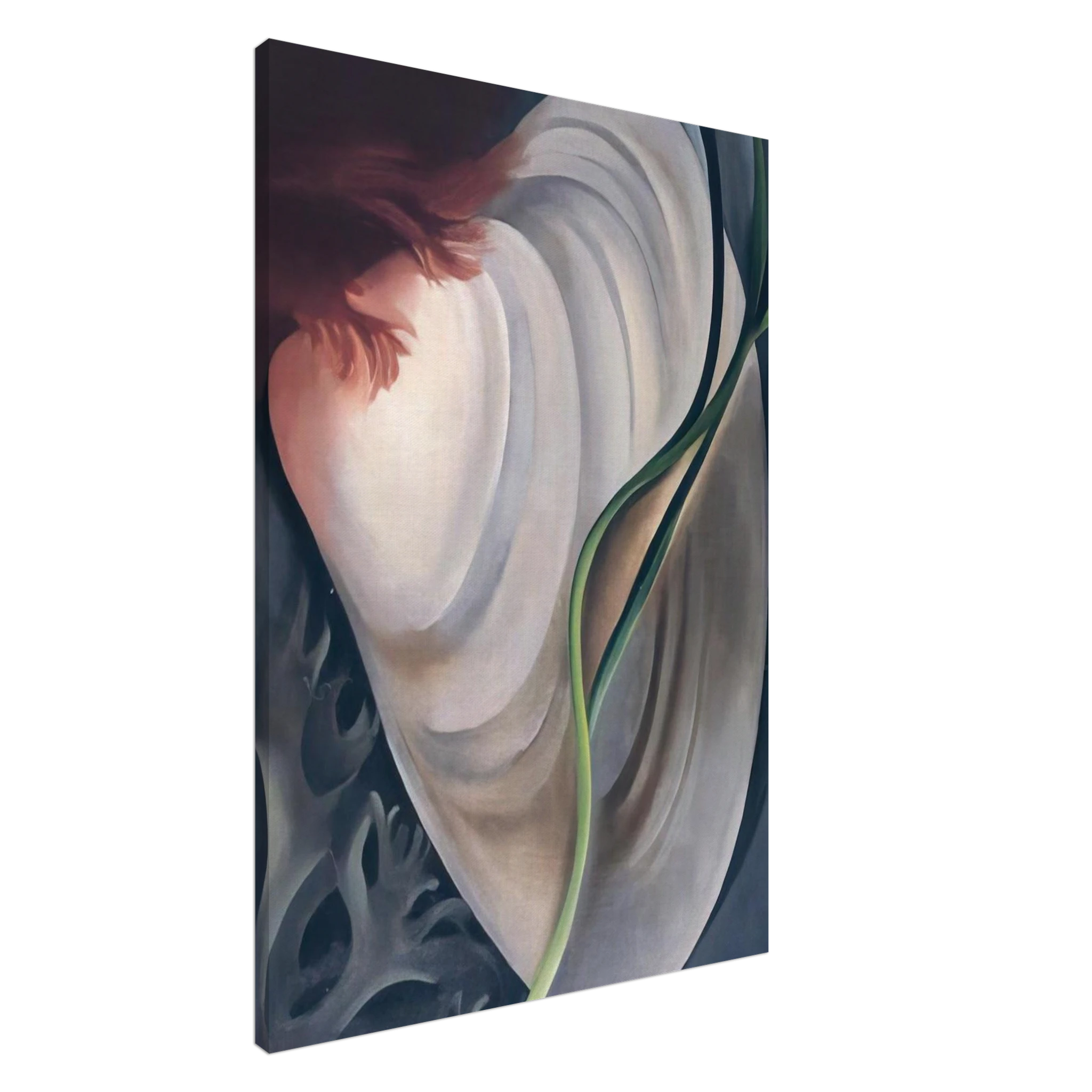 Shell No 2 Canvas | Georgia O'Keeffe Canvas | Georgia O Keeffe Prints