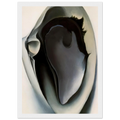 Clam and mussel Framed Poster | Georgia O'Keeffe Framed Prints Wall Art | Georgia O Keeffe Prints
