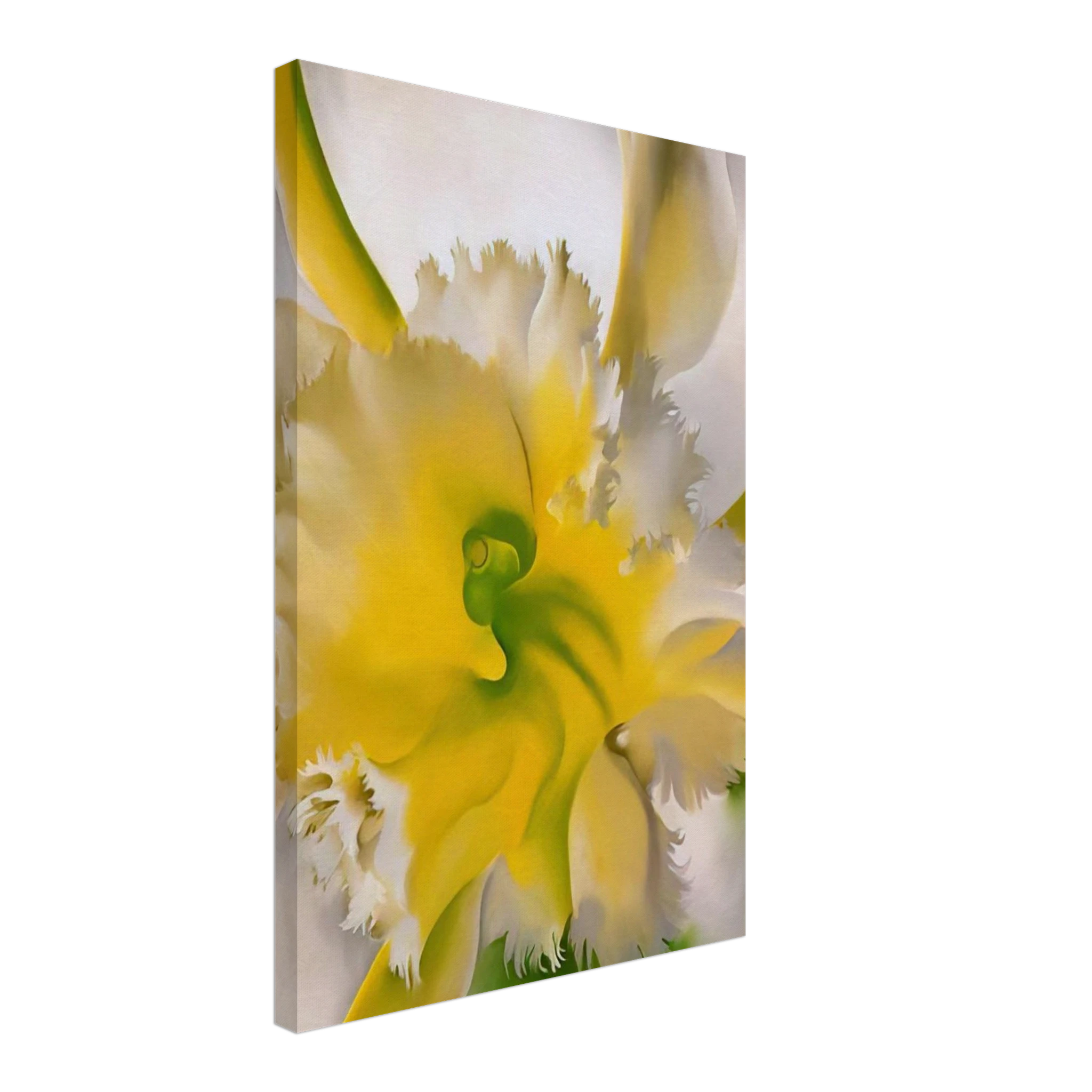 An Orchid Canvas | Georgia O'Keeffe Canvas | Georgia O Keeffe Prints