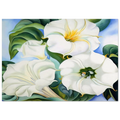 Jimson Weed 3 Poster | Georgia O'Keeffe Poster | Georgia O Keeffe Prints