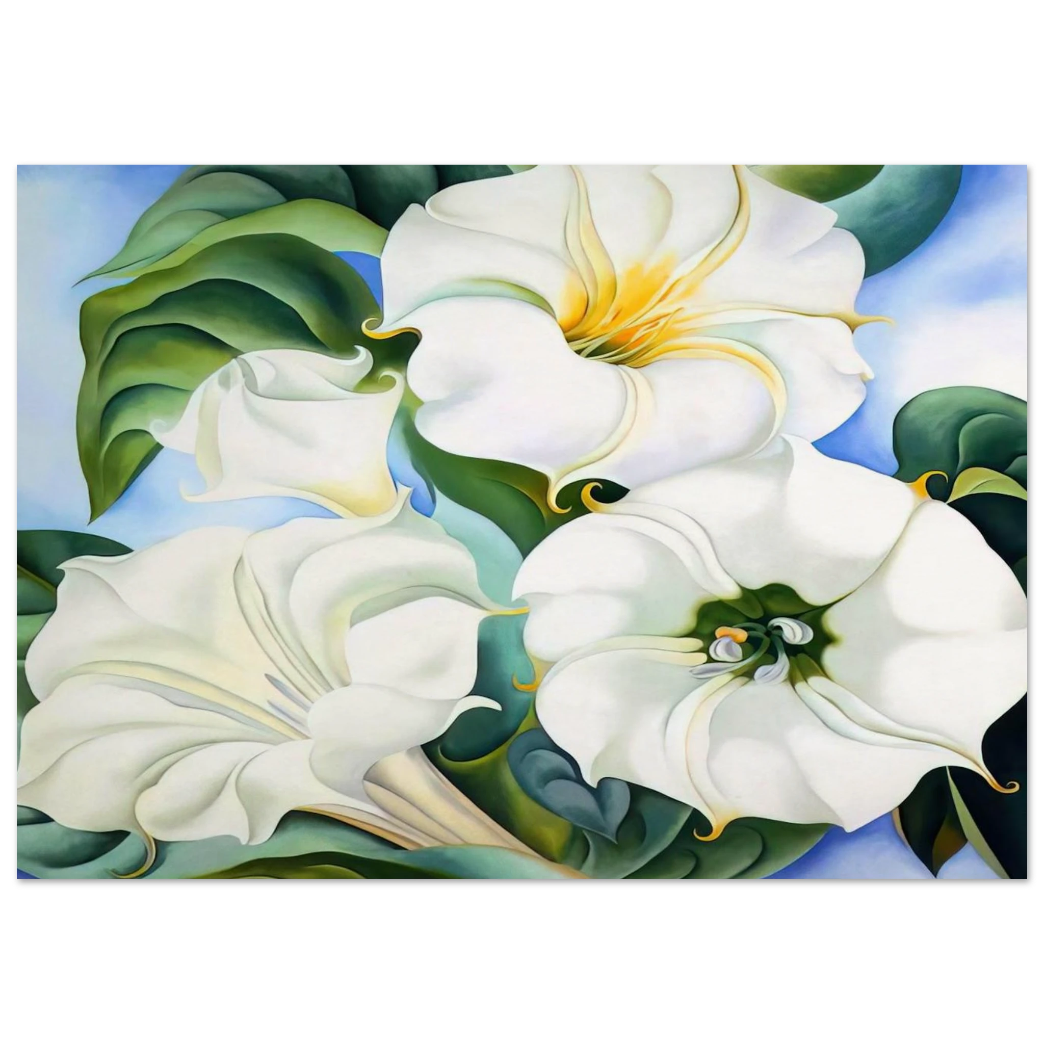 Jimson Weed 3 Poster | Georgia O'Keeffe Poster | Georgia O Keeffe Prints