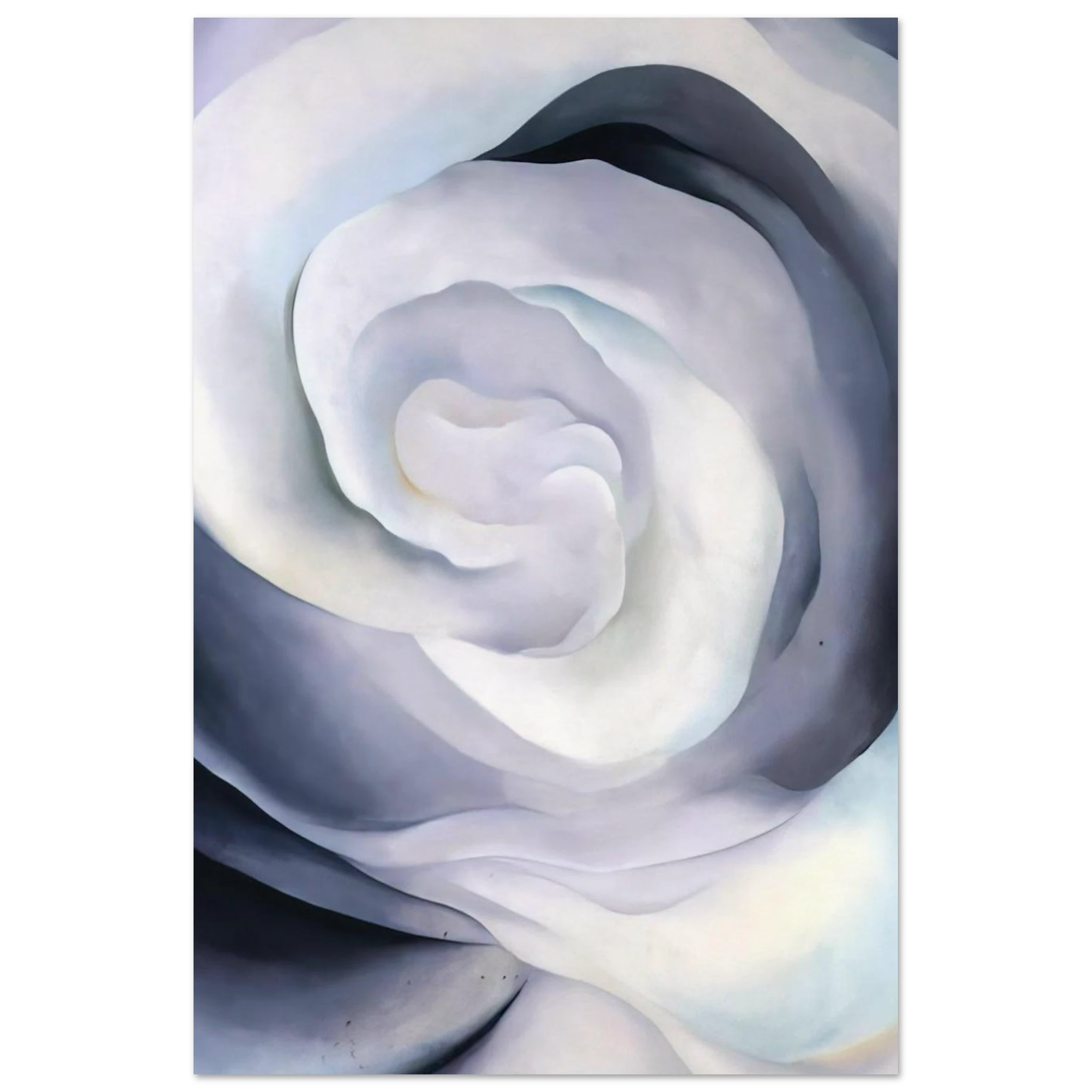 Abstraction White Rose Poster | Georgia O'Keeffe Poster | Georgia O Keeffe Prints