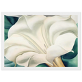 Jimson Weed 2 Framed Poster | Georgia O'Keeffe Framed Prints Wall Art | Georgia O Keeffe Prints