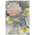 Pink Daisy with Iris Poster | Georgia O'Keeffe Poster | Georgia O Keeffe Prints