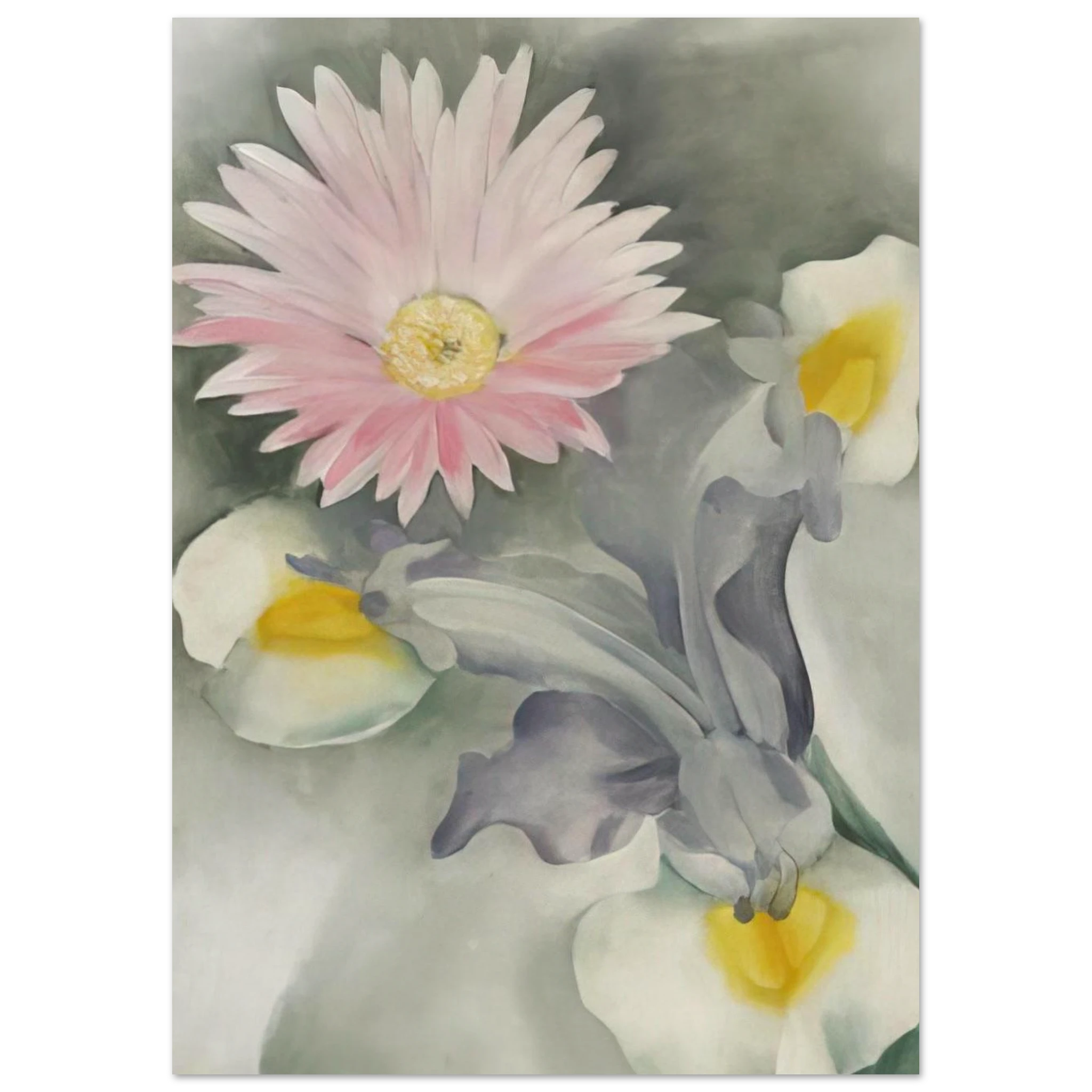 Pink Daisy with Iris Poster | Georgia O'Keeffe Poster | Georgia O Keeffe Prints