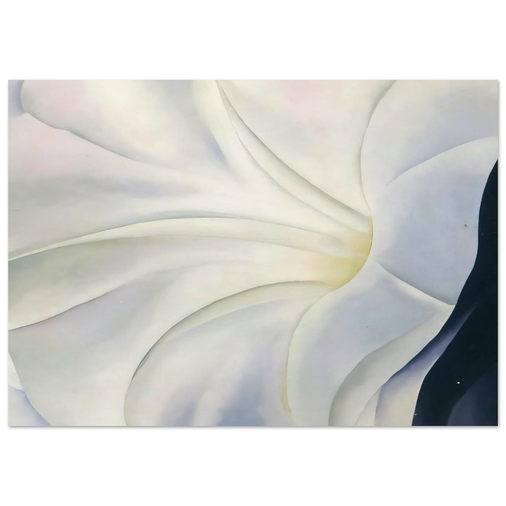 Morning Glory with Black Poster | Georgia O'Keeffe Poster | Georgia O Keeffe Prints