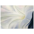 Morning Glory with Black Poster | Georgia O'Keeffe Poster | Georgia O Keeffe Prints