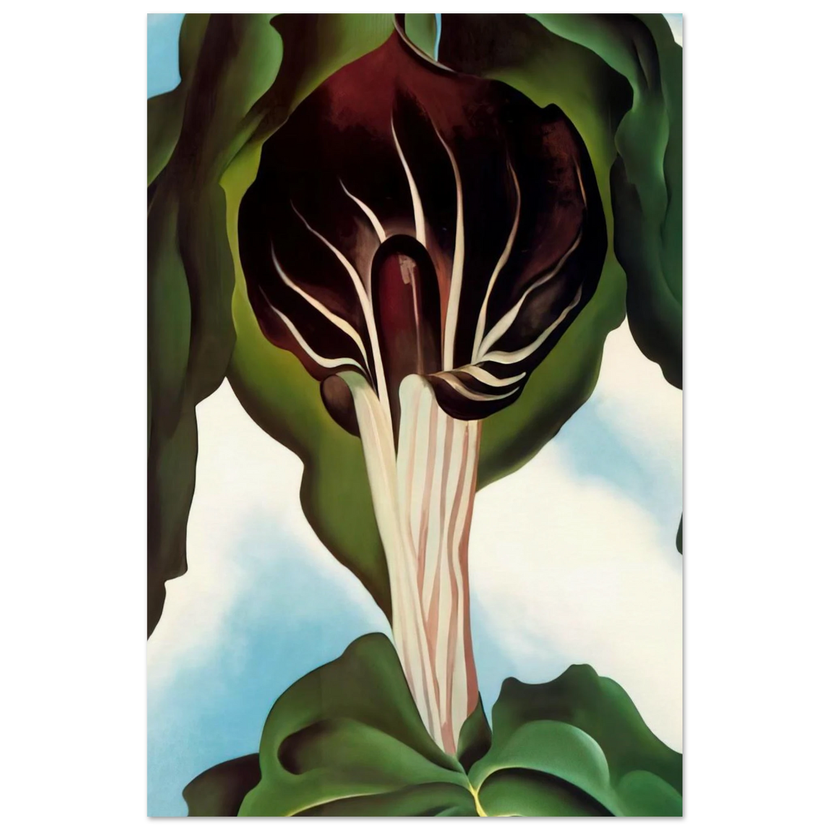 Jack-in-the-Pulpit III Poster | Georgia O'Keeffe Poster | Georgia O Keeffe Prints
