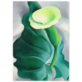Calla Lily  Lily-Yellow No. 2  Poster | Georgia O'Keeffe Poster | Georgia O Keeffe Prints