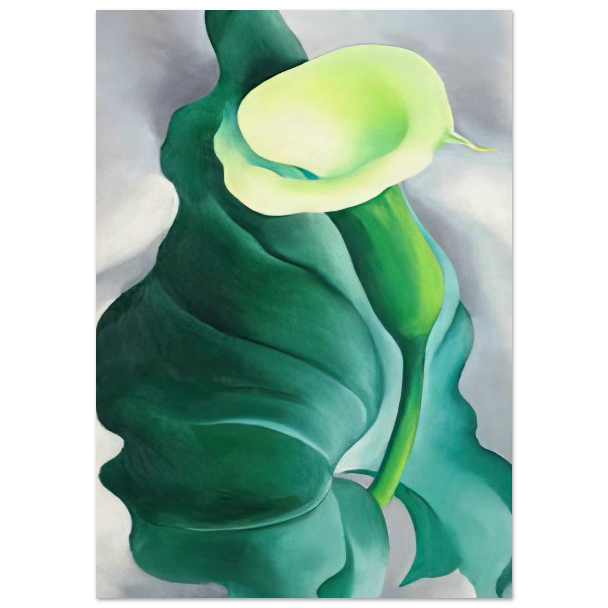 Calla Lily  Lily-Yellow No. 2  Poster | Georgia O'Keeffe Poster | Georgia O Keeffe Prints