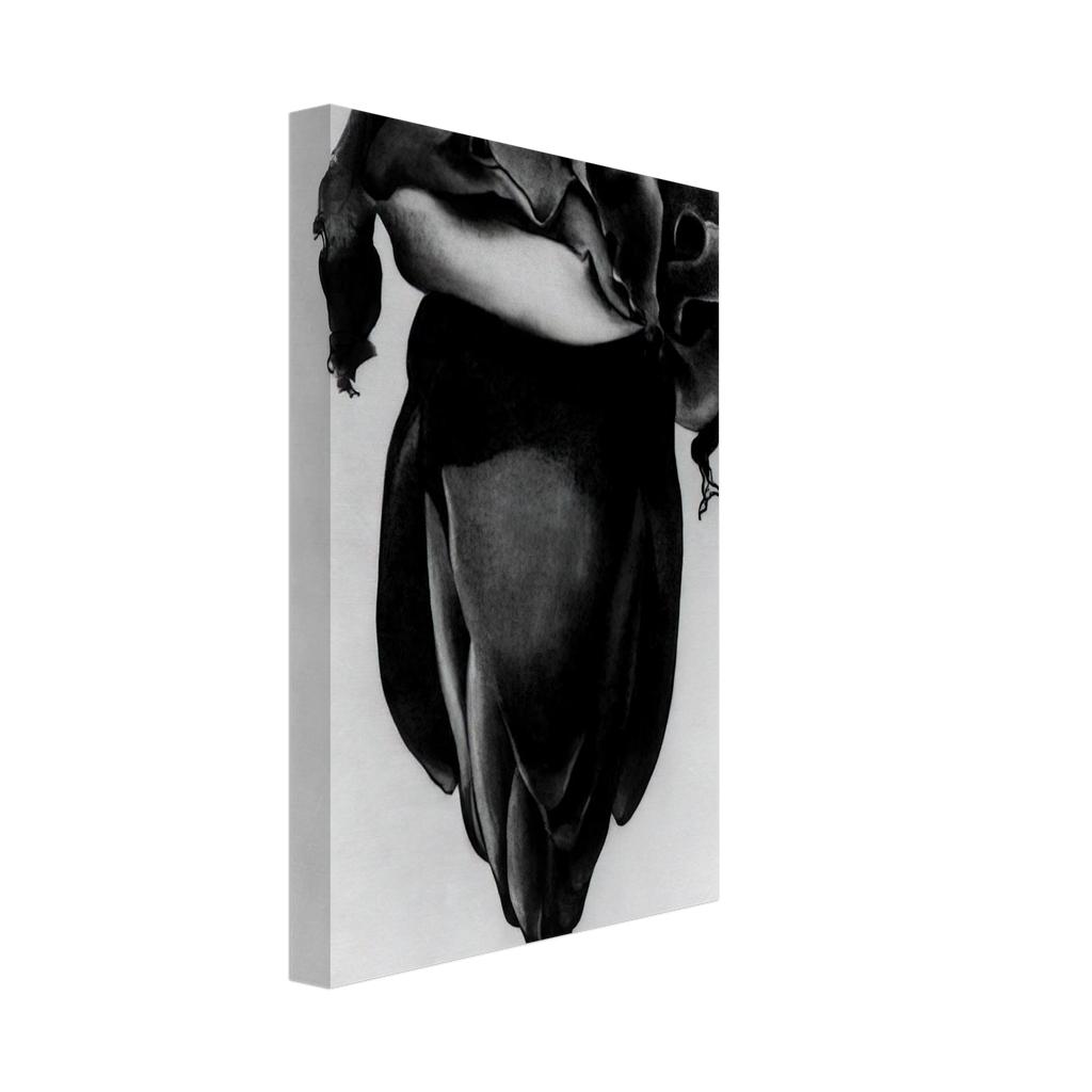 Banana Flower Canvas | Georgia O'Keeffe Canvas | Georgia O Keeffe Prints