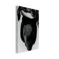 Banana Flower Canvas | Georgia O'Keeffe Canvas | Georgia O Keeffe Prints