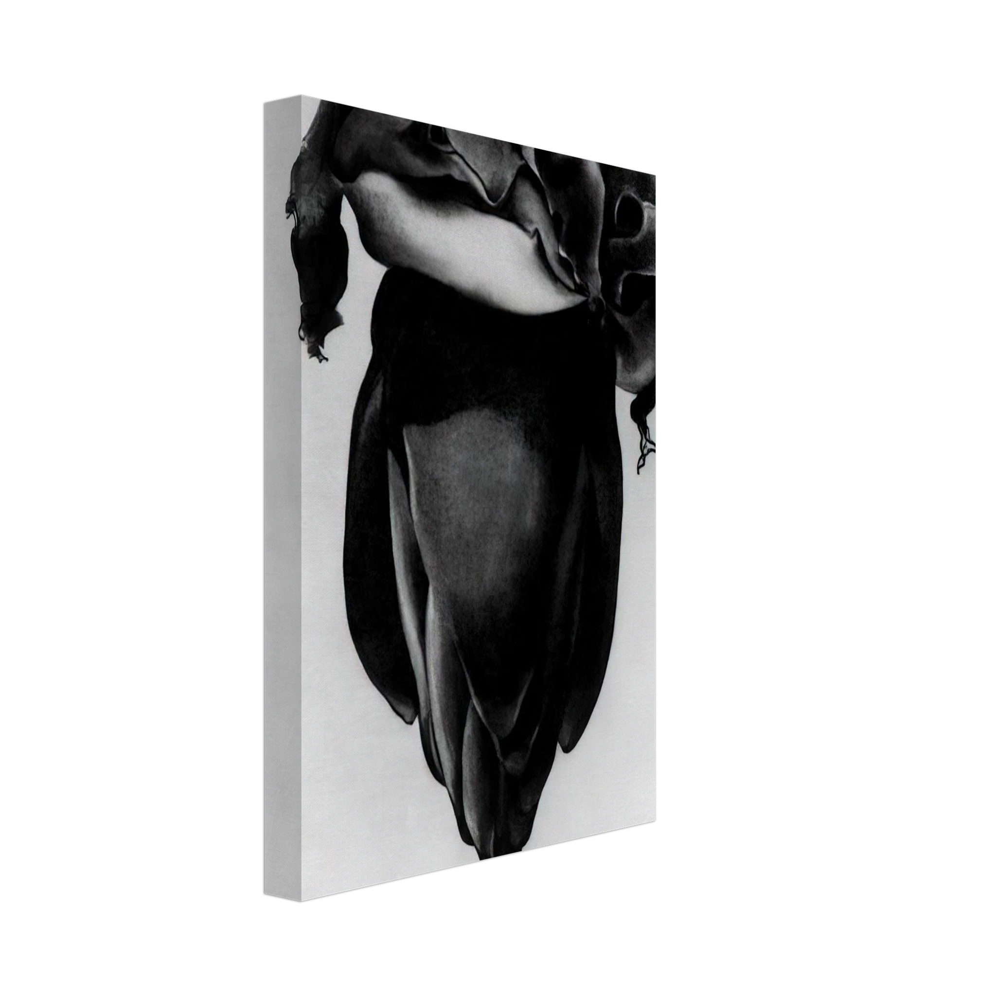 Banana Flower Canvas | Georgia O'Keeffe Canvas | Georgia O Keeffe Prints