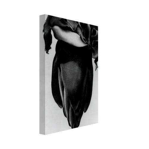 Banana Flower Canvas | Georgia O'Keeffe Canvas | Georgia O Keeffe Prints