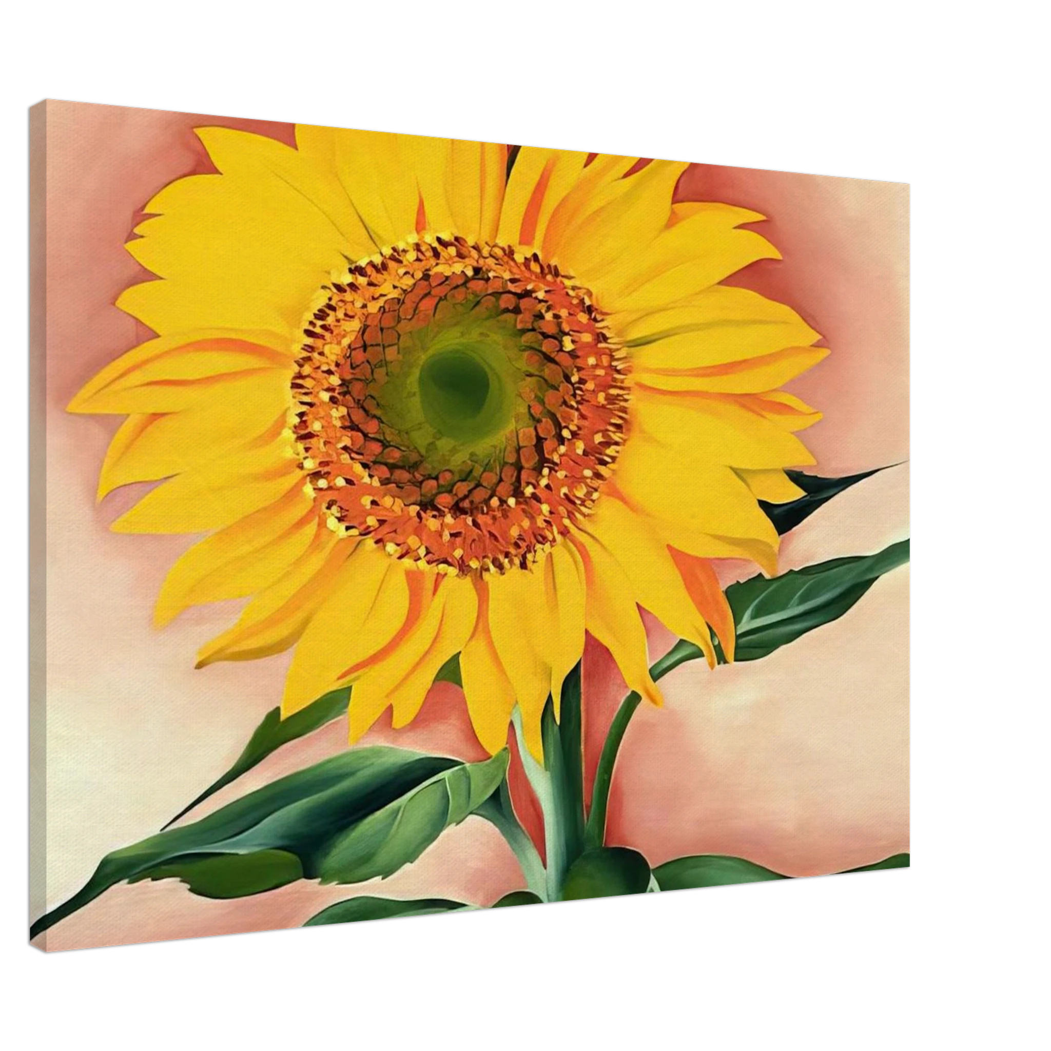 A Sunflower from Maggie Canvas | Georgia O'Keeffe Canvas | Georgia O Keeffe Prints