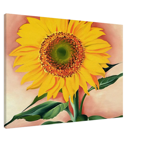 A Sunflower from Maggie Canvas | Georgia O'Keeffe Canvas | Georgia O Keeffe Prints