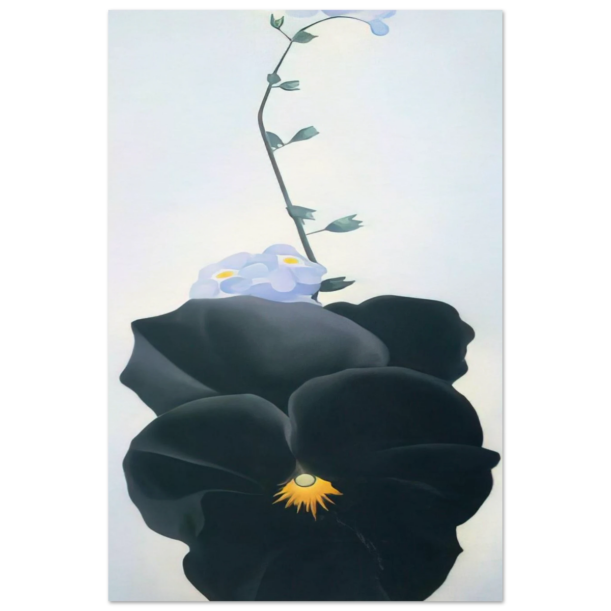 Pansy Poster | Georgia O'Keeffe Poster | Georgia O Keeffe Prints