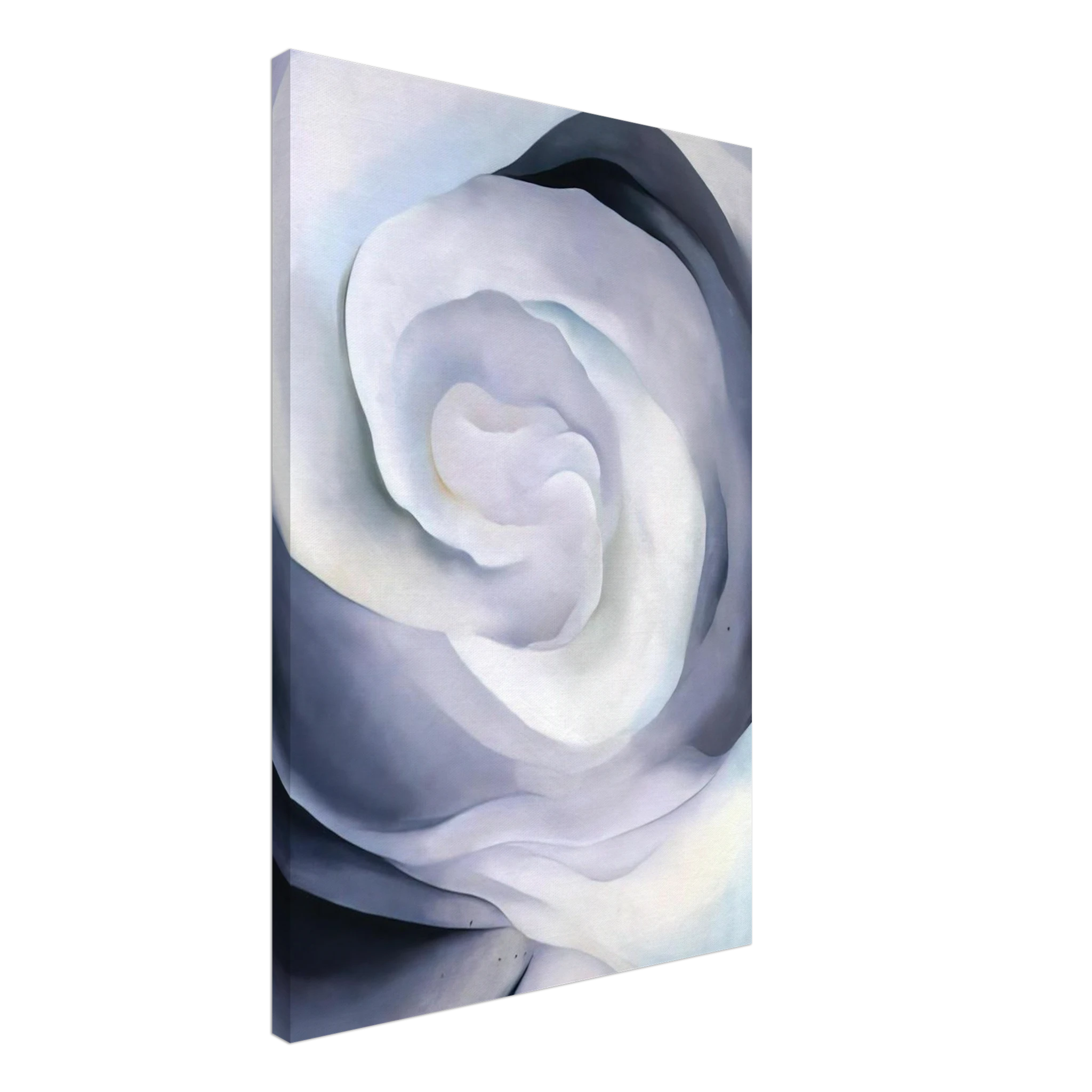 Abstraction White Rose Canvas | Georgia O'Keeffe Canvas | Georgia O Keeffe Prints