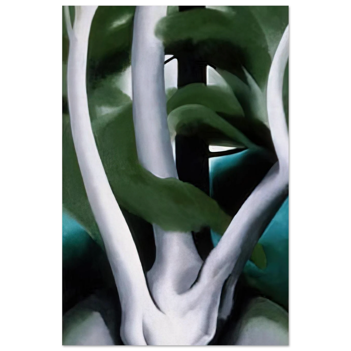 Birch and Pine Tree No. 1 Poster | Georgia O'Keeffe Poster | Georgia O Keeffe Prints