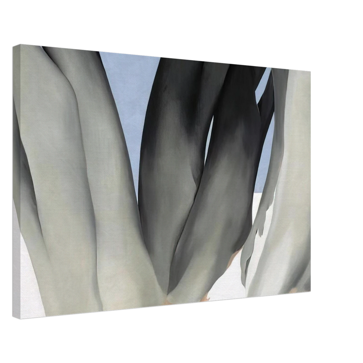 Bare Tree Trunks with Snow Canvas | Georgia O'Keeffe Canvas | Georgia O Keeffe Prints