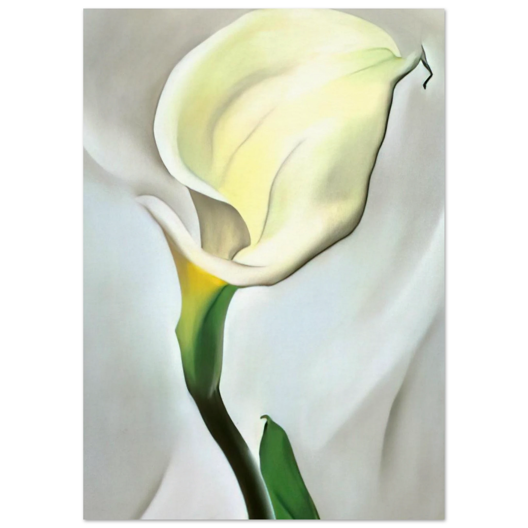 Calla Lily Turned Away Poster | Georgia O'Keeffe Poster | Georgia O Keeffe Prints
