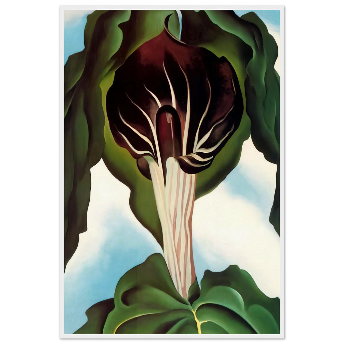 Jack-in-the-Pulpit III Framed Poster | Georgia O'Keeffe Framed Prints Wall Art | Georgia O Keeffe Prints