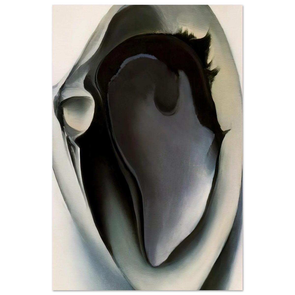 Clam and mussel Poster | Georgia O'Keeffe Poster | Georgia O Keeffe Prints