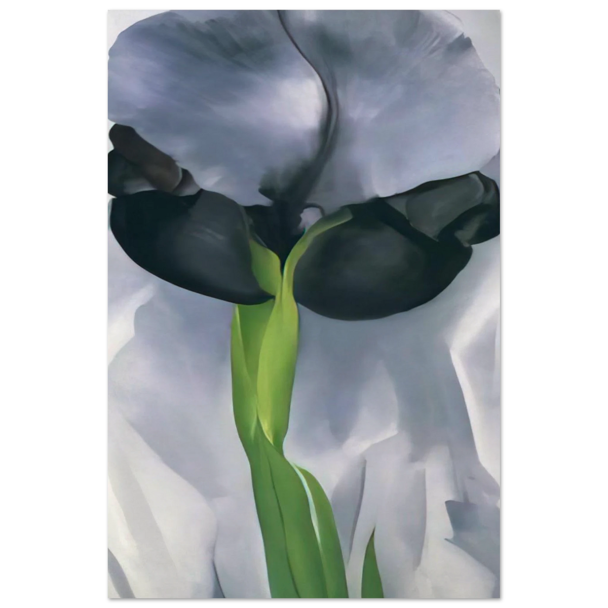 Iris 7 Poster | Georgia O'Keeffe Poster | Georgia O Keeffe Prints
