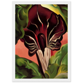 Jack-in-the-Pulpit II Framed Poster | Georgia O'Keeffe Framed Prints Wall Art | Georgia O Keeffe Prints
