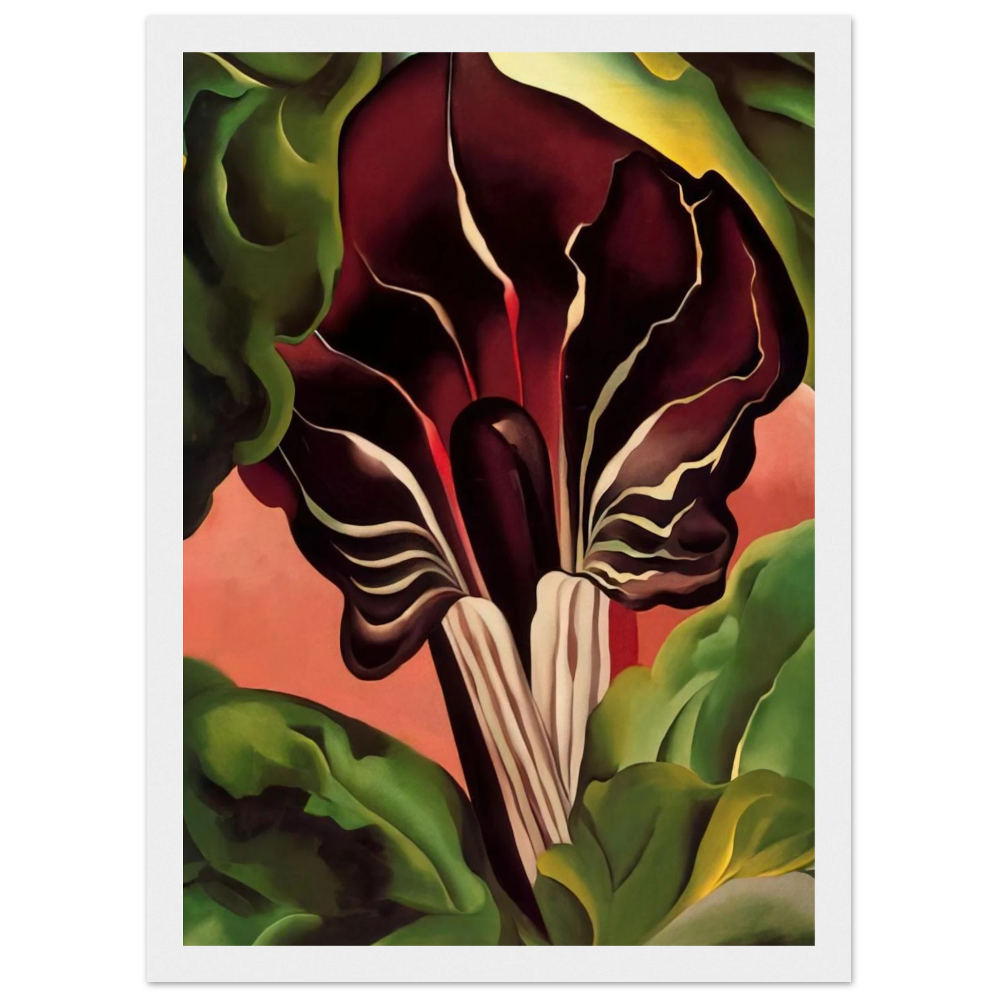 Jack-in-the-Pulpit II Framed Poster | Georgia O'Keeffe Framed Prints Wall Art | Georgia O Keeffe Prints