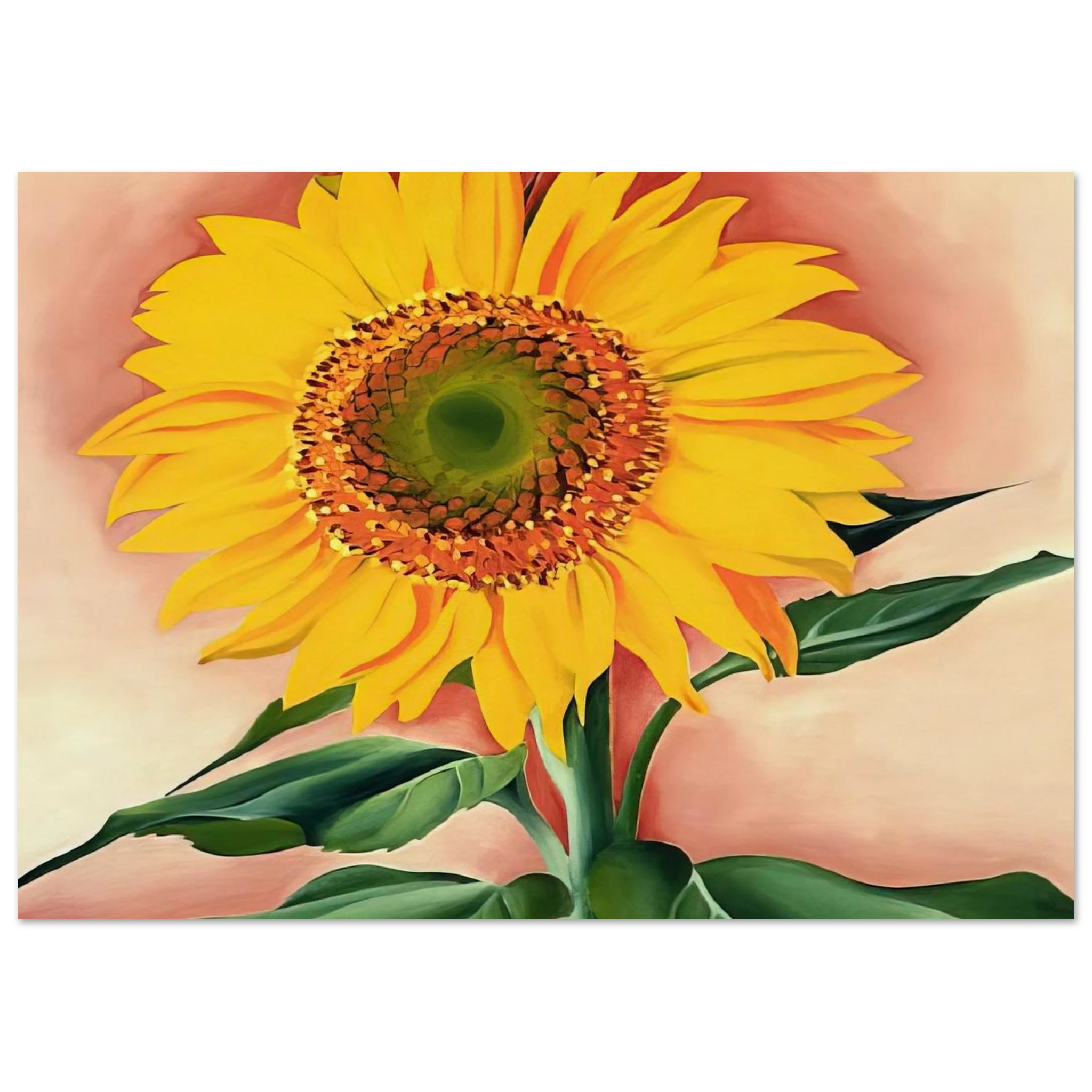 A Sunflower from Maggie Poster | Georgia O'Keeffe Poster | Georgia O Keeffe Prints