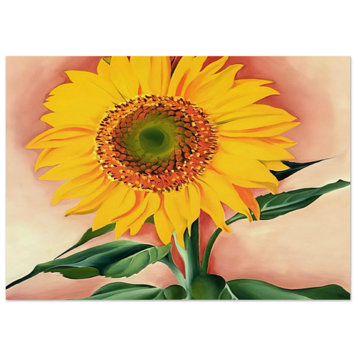 A Sunflower from Maggie Poster | Georgia O'Keeffe Poster | Georgia O Keeffe Prints