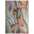 Pink Sweet Peas Poster | Georgia O'Keeffe Poster | Georgia O Keeffe Prints