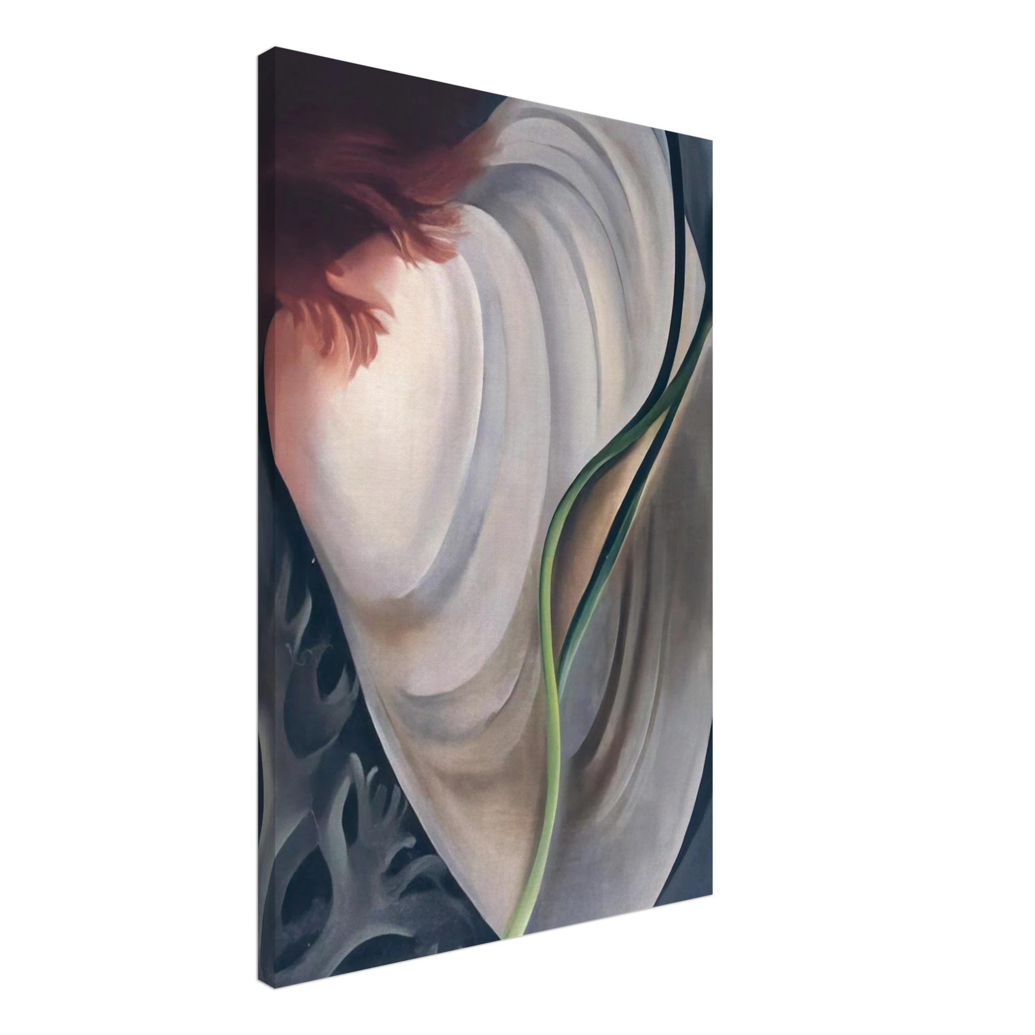 Shell No 2 Canvas | Georgia O'Keeffe Canvas | Georgia O Keeffe Prints