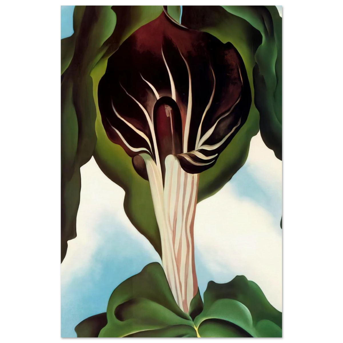 Jack-in-the-Pulpit III Poster | Georgia O'Keeffe Poster | Georgia O Keeffe Prints