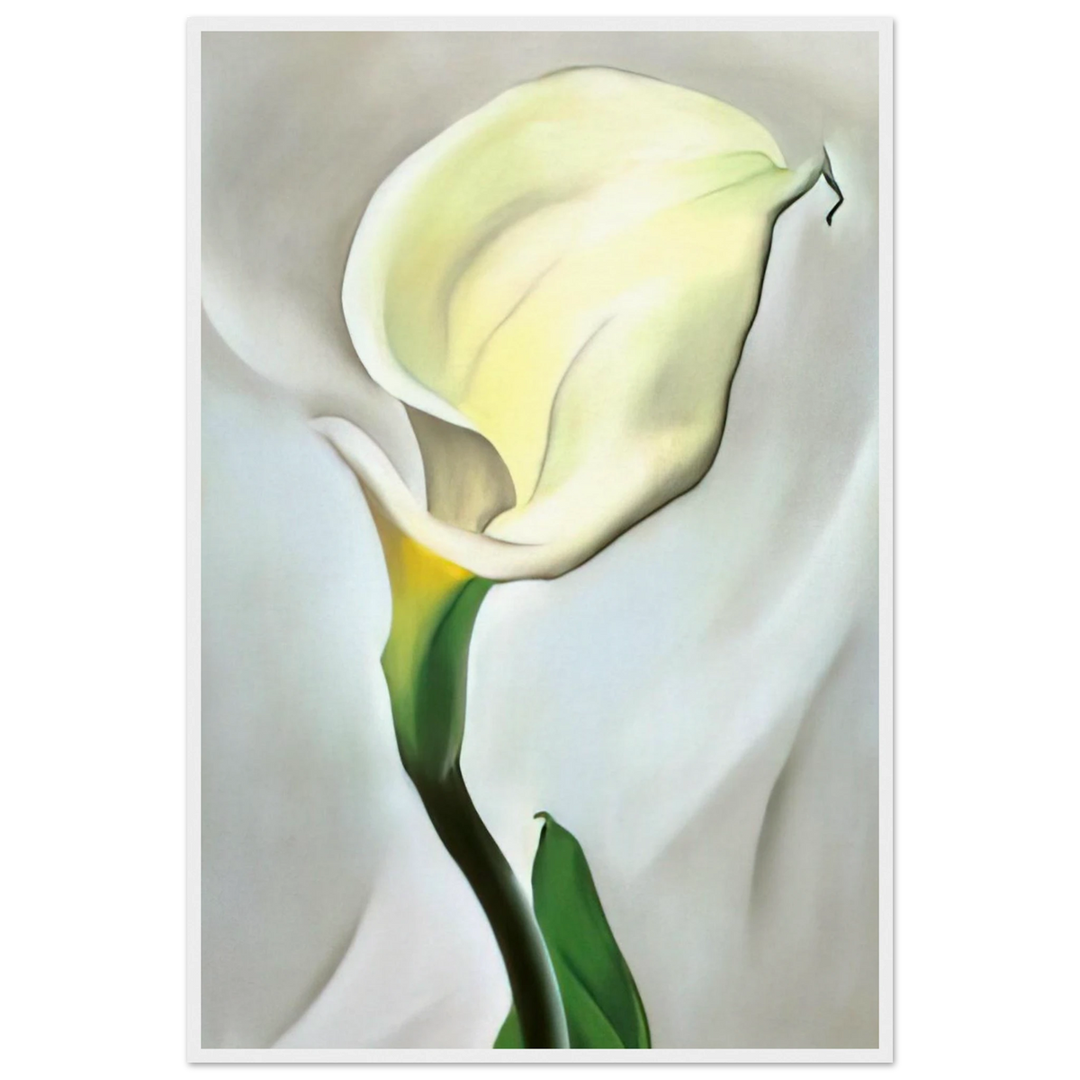 Calla Lily Turned Away Framed Poster | Georgia O'Keeffe Framed Prints Wall Art | Georgia O Keeffe Prints