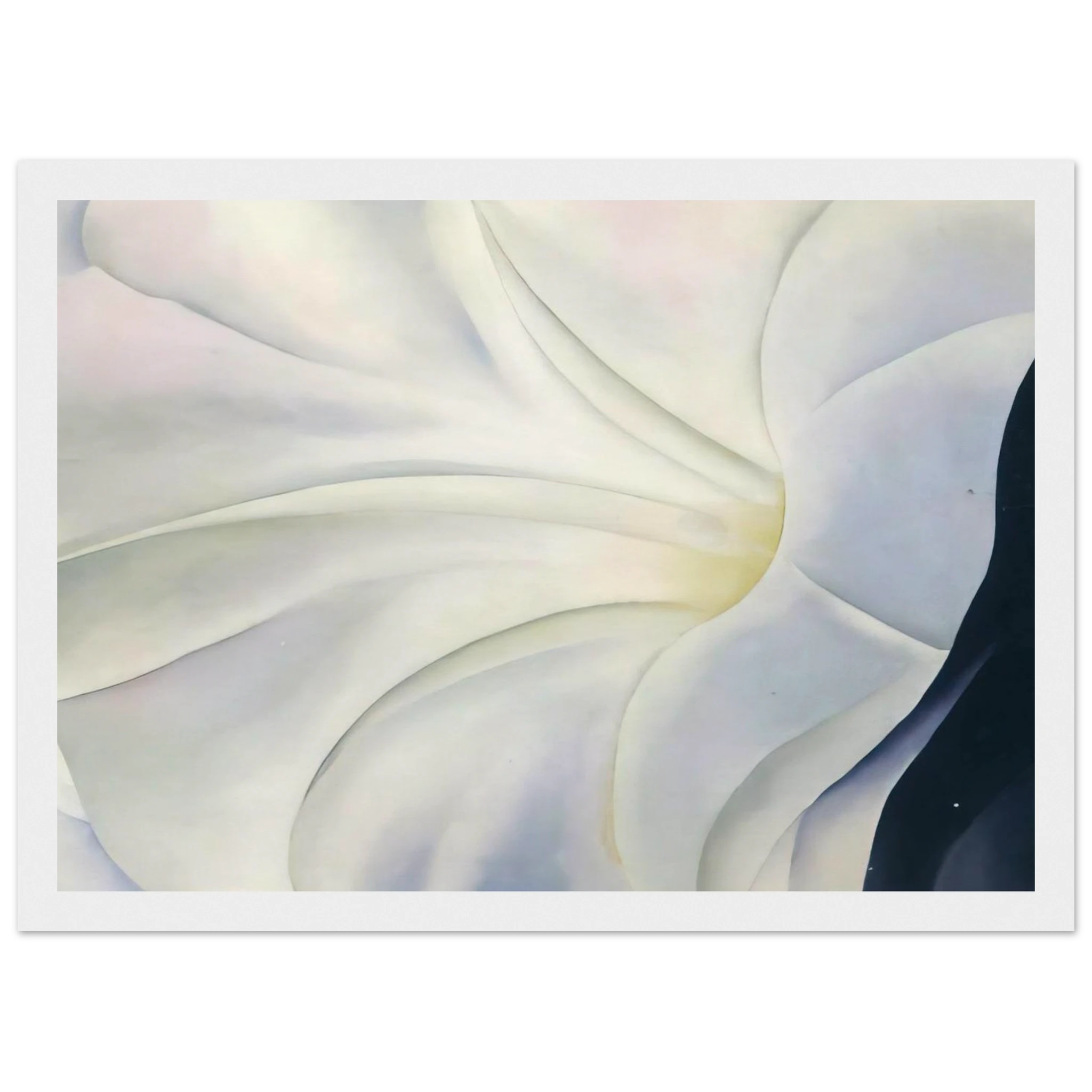 Morning Glory with Black Framed Poster | Georgia O'Keeffe Framed Prints Wall Art | Georgia O Keeffe Prints