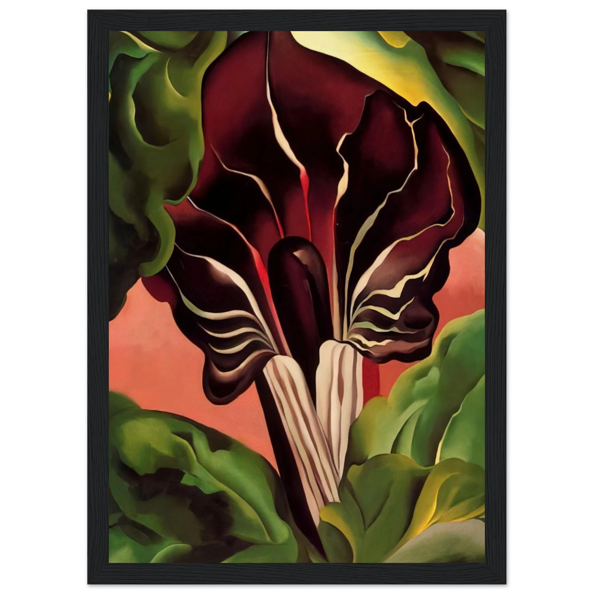 Jack-in-the-Pulpit II Framed Poster | Georgia O'Keeffe Framed Prints Wall Art | Georgia O Keeffe Prints