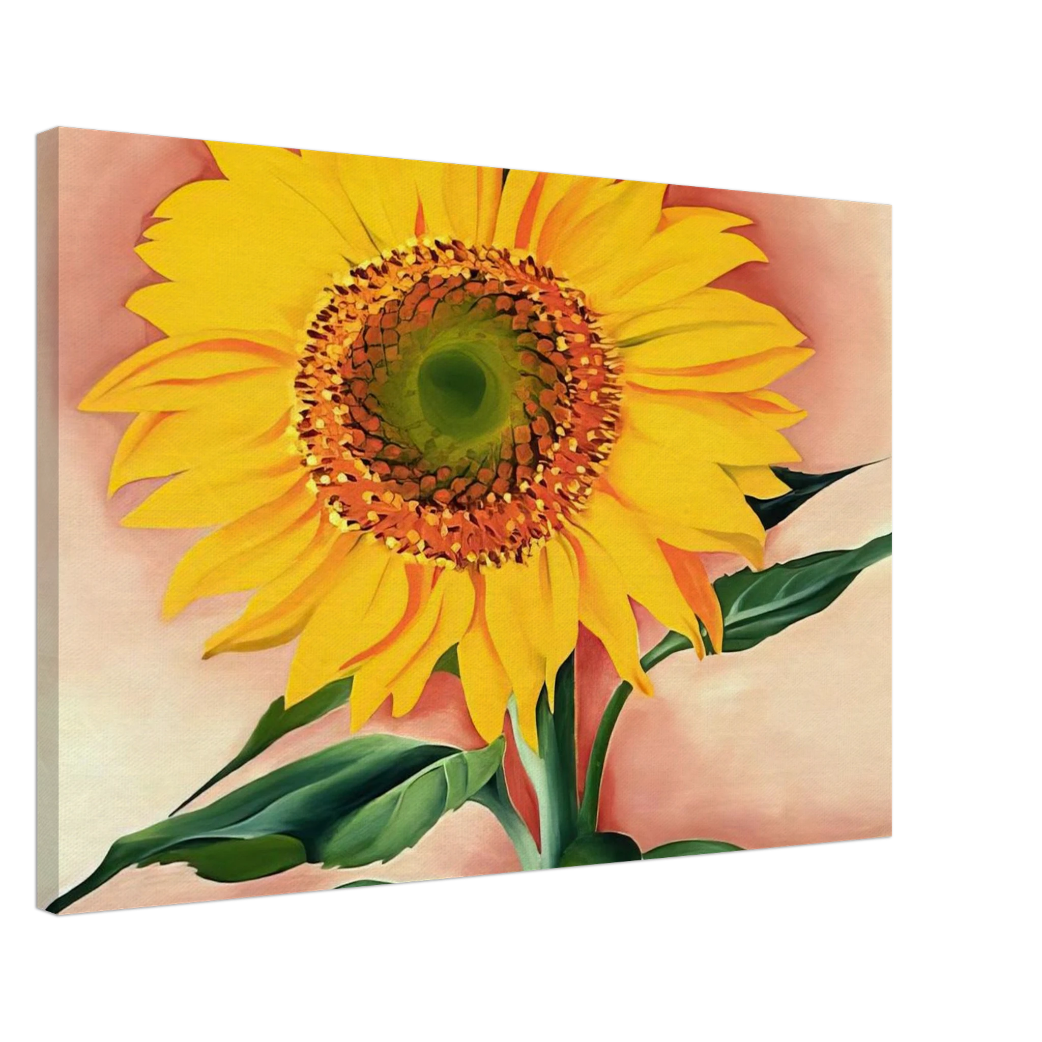 A Sunflower from Maggie Canvas | Georgia O'Keeffe Canvas | Georgia O Keeffe Prints