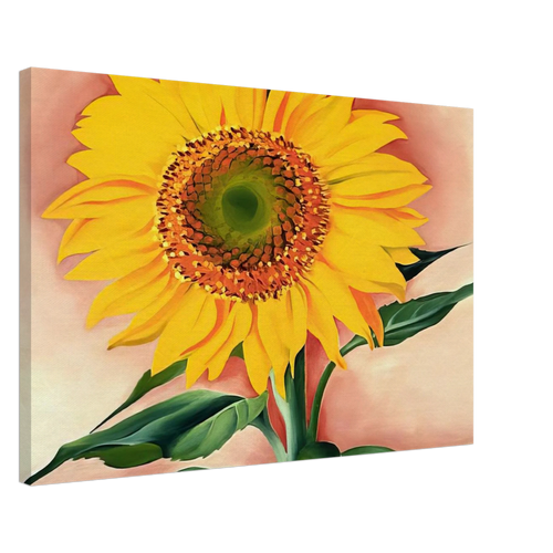 A Sunflower from Maggie Canvas | Georgia O'Keeffe Canvas | Georgia O Keeffe Prints
