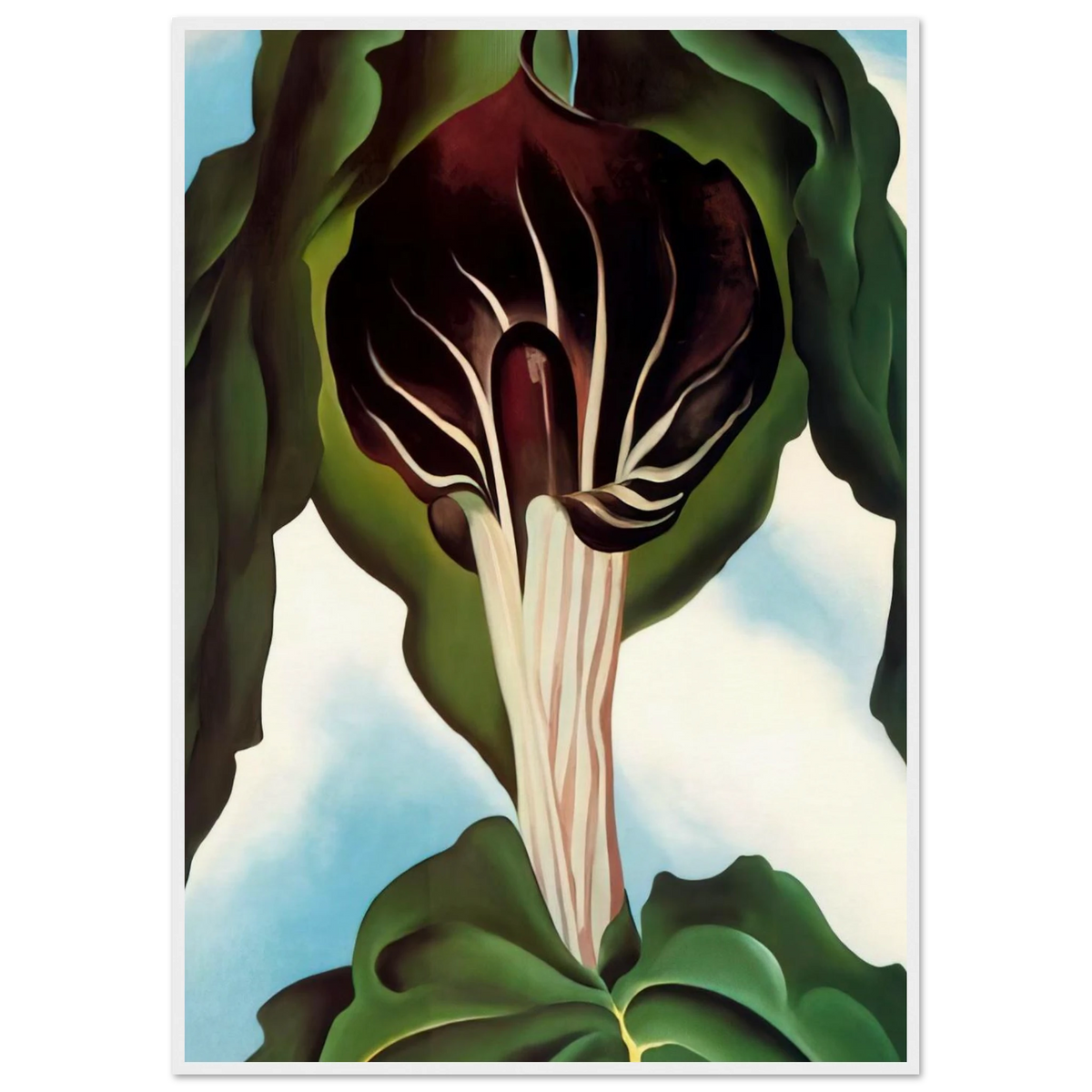 Jack-in-the-Pulpit III Framed Poster | Georgia O'Keeffe Framed Prints Wall Art | Georgia O Keeffe Prints