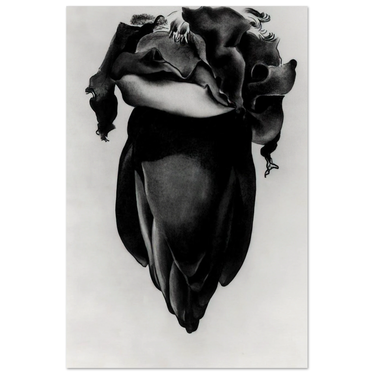 Banana Flower Poster | Georgia O'Keeffe Poster | Georgia O Keeffe Prints