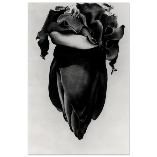 Banana Flower Poster | Georgia O'Keeffe Poster | Georgia O Keeffe Prints